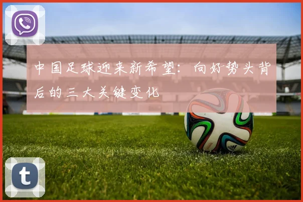中国足球迎来新希望：向好势头背后的三大关键变化