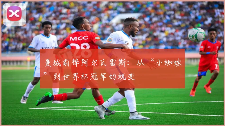 曼城前锋阿尔瓦雷斯：从“小蜘蛛”到世界杯冠军的蜕变